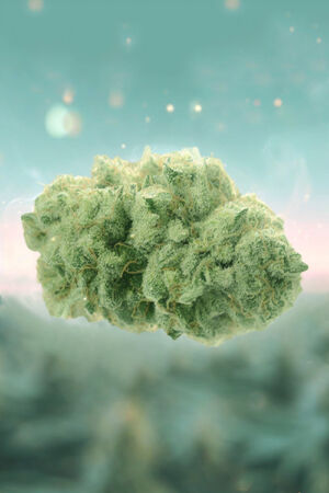 Skywalker